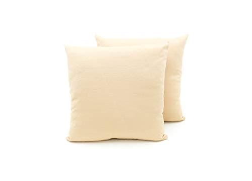 BIANCHERIAWEB Coppia Cuscini Arredo Imbottiti Tessuto Ottoman in Tinta Unita Colore Beige 02 40x40 Beige 02