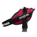 Arnés IDC Power, Tamaño: M/0, Viva Magenta - 4