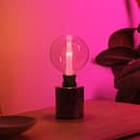 Philips Hue White & Color Ambiance Lightguide Ellipse 500lm, dimmbare LED Lampen für das Hue Lichtsystem mit 16 Mio. Farben, smarte Lichtsteuerung über Sprache und App - 5