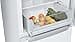 Bosch - Frigorífico Combi, 60 cm, Serie 2, NoFrost, Iluminación LED, MultiAirFlow, Blanco, KGN36NWEA - 5