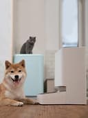 XIAOWAN - Distributore automatico di cibo per cani, Dispenser cibo per animali domestici, controllo remoto con app Xiaomi Home, erogazione programmabile - 7