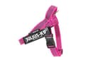 Julius-K9, IDC Color & Gray Belt Harness, Size: S/Mini, Pink-Gray - 1