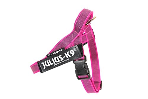 Julius-K9, IDC Color & Gray Belt Harness, Size: S/Mini, Pink-Gray