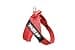 Julius-K9, IDC Color & Gray Belt Harness, Size: M / 0, Red-Gray - 5