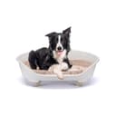 Ferplast Dog & Cat Bed With Cotton Cushion, Raised Plastic Bed Medium, Washable Basket, Breathable & Antislip, THRONE 82 x 59.5 x h 29.5 cm, White - 1