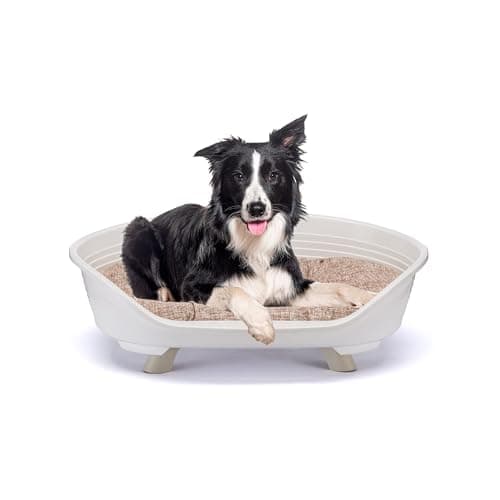 Ferplast Dog & Cat Bed With Cotton Cushion, Raised Plastic Bed Medium, Washable Basket, Breathable & Antislip, THRONE 82 x 59.5 x h 29.5 cm, White