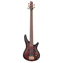 Ibanez Standard SR305EDX-WZM Wine Red Frozen Matte - E-Bass - 1