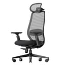 ProtoArc EC200 Bürostuhl Ergonomisch, Schreibtischstuhl mit Höhen- und Tiefenverstellbarer Lendenwirbelstütze, Sitztiefe, Höhenverstellbar, 3D-Kopfstütze, Computerstuhl für Home Office Chair, Schwarz - 1