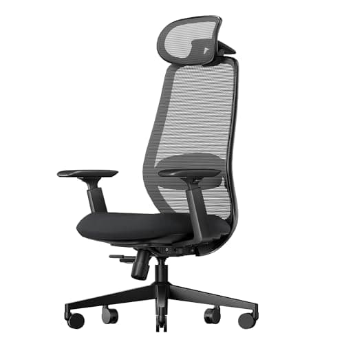 ProtoArc EC200 Bürostuhl Ergonomisch, Schreibtischstuhl mit Höhen- und Tiefenverstellbarer Lendenwirbelstütze, Sitztiefe, Höhenverstellbar, 3D-Kopfstütze, Computerstuhl für Home Office Chair, Schwarz