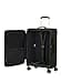 Samsonite Litebeam, climbing ivy, SPINNER 66/24 EXP - 5