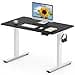 FLEXISPOT Scrivania Regolabile in Altezza 120x80 cm, Standing Desk Elettrica con Pannello Intero, Spessore 25mm, Telaio in Acciaio Massiccio a 2 Stadi, Motore Potente, Gancio Laterale - 1