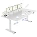 FLEXISPOT Mesa Elevable Eléctrica Regulable en Altura 180x80 cm - Escritorio de Pie con 2 Potentes Motores, Función Memoria y Estabilidad (Blanco+Blanco) - 1