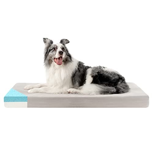 ZENAPOKI Cuccia per cani – XL letto ortopedico per cani, ottimo per le articolazioni, materasso in memory foam, cuscino per cani in gel che regola la temperatura
