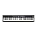 Roland RD-08 Stage Piano | Authentic RD Sounds & Playability | Slim Design | PHA-4 Keyboard 88 Weighted Keys | Expandable Functions | 3000+ Integrated Sounds - 1