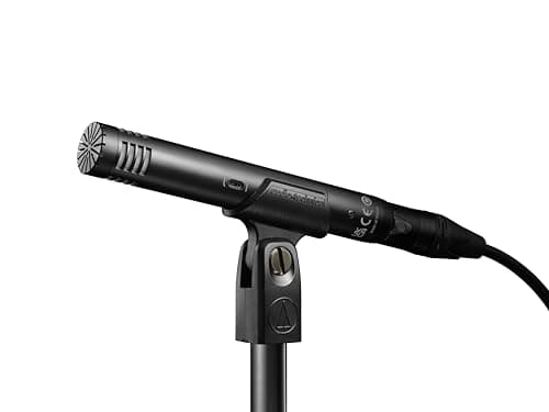 Audio-Technica AT2031 Microfono a condensatore cardioide con indirizzo finale per strumenti a corda in studi critici e applicazioni live.