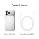Apple iPhone 17 Pro Max 256 GB: display 6,9", ProMotion fino a 120Hz, chip A19 Pro, autonomia mai vista su iPhone, sistema di fotocamere Pro Fusion, fotocamera frontale Center Stage; Argento - 6