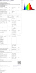 Garza Smarthome-Bombilla LED WiFi CCT 5.5w Esférica E27 Inteligente y programable, Cambio de Intensidad y Tonalidad, Control por Voz y App, Alexa, iOS, Google, Android, 5.5 W, Blanco - 21