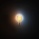 innr Lampadina Smart E27 Zigbee, Funziona con Hue* e Alexa (Bridge Richiesto), Filament LED Luce Bianca Calda e Fredda, Dimmerabile, 610 lumen - 1 pezzo - 2