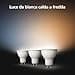 Philips Hue White Ambiance, Faretto LED Smart GU10, Luce Bianca da calda a fredda, 400lm, Compatibile con Bluetooth, controllo vocale con Alexa, Apple Home e Google Assistant, pack da 5 - 3