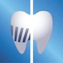 Philips Sonicare Cabezales Originales ProResults Standard para Cepillo de Dientes Eléctrico Sónico – Paquete de 10 unidades en Blanco (Modelo HX6010/32) - 5