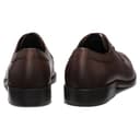 BOSS Limber_Derb_lt - 4