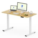 FLEXISPOT FQ Pro Escritorio Elevable Eléctrico 120x60cm, Mesa Elevable con Tablero Entero, Retroceso Ante Obstáculos, 4 Función de Memoria, Standing Desk para Oficina & Hogar y Teletrabajo, Arce - 1