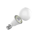 Xiaomi Mi Smart Bulb Warm White LED Glühbirne, 8 W, Weiß, 1 Stück (1er Pack), XM200036 - 2