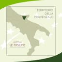 Le Fascine Olio Extravergine d'Oliva Provenzale Biologico 100% Italiano Prodotto da mono cultivar Provenzale (Latta da 3 Litri) - 7