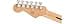 Squier by Fender Limited Edition Sonic® Stratocaster® Electric Guitar, Maple Fingerboard, White Pickguard, Tahitian Coral - 6