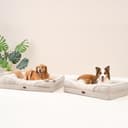 EHEYCIGA Orthopädisches Hundebett Kleine Hunde, 76x51x16.5cm, Memory Foam Waschbar und Wasserdicht Hundekorb mit 4 Rändern, Hundesofa Hundecouch rutschfest, Beige - 8