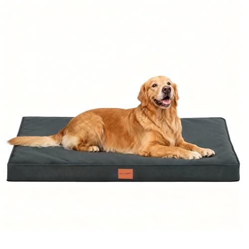 WAVVE Cuccia Cane Grande Ortopedica 112x81x7.6 cm, Cuscino per Cani interno indistruttibile XL, Letto per Cani Sfoderabile Lavabile Impermeabile, Materassino per Cani in Uovo Foam, Grigio