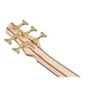 Ibanez Standard SR305EDX-WZM Wine Red Frozen Matte - E-Bass - 7