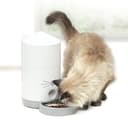 Catit PIXI Smart Automatic Dry Cat Food Feeder, Schedule and Portion Control Meals For Cats, White - 2