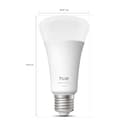 Philips Hue LED A67 (Confezione da 1), Lampadine smart con luce bianca calda E27, Luci smart da 11,8 W e 1.600 lumen, Lampadine intelligenti compatibili con Alexa, Google Assistant e Apple Home - 10