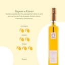 ALBORI Soave - Olio Extravergine di Oliva Italiano 5 Litri NUOVO 2025/2026 Estratto Freddo, Olio di Oliva con Olive Leccino e Peranzana Delicato per Pesce, Carne, Verdura, Box con Versatore Antispreco - 2