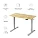 FLEXISPOT Scrivania Regolabile in Altezza 160x80 cm, Standing Desk Elettrica con Pannello Intero, Spessore 25mm, Telaio in Acciaio Massiccio a 2 Stadi, Motore Potente, Gancio Laterale - 5
