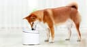 Xiaomi Smart Pet Fountain EU - 8