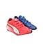 Puma Fast-FWD Women's Nitro Elite Running Shoes, Blue, 4 UK - 5