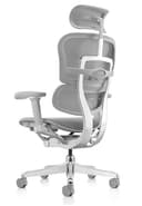 PROCOMFORT ERGOHUMAN Elite Evolution TASC – Poltrona Ergonomica Ufficio 24H, Supporto Lombare Avanzato, Seduta Regolabile, Mesh Traspirante, Portata 150 kg (Silver) - 6