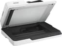 Epson Workforce DS-1630 - Escáner Plano de Color A4, USB, Alimentador automático de Documentos, escaneado Doble Cara (dúplex), Color Blanco - 2