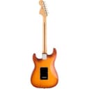 Fender American Performer Timber RW Honey Burst - Chitarra elettrica - 3