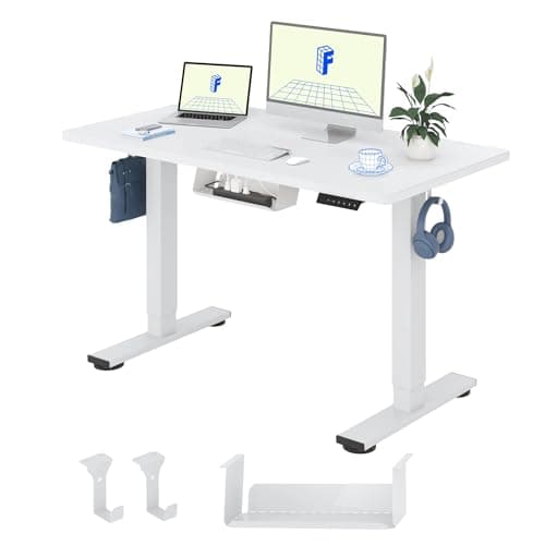 FLEXISPOT QE1 MAX 120x60cm Escritorio Elevable Eléctrico con Tablero Entero Mesa de Elevable, Standing Desk, Mesa Elevable Escritorio con 2 Ganchos y 4 Funciones de Memoria