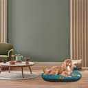 Ferplast Cuccia Cane Relax, Cuscino per cani di taglia media, Cuccia Gatto, Tappetino per cucce e auto -Lavabile - in Cotone con Soffice Imbottitura, 78 x 50 xm. Turchese - 2