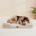 EHEYCIGA Cuccia Cane Interno Taglia Media, Cuscino Cane Impermeabile Sfoderabile e Lavabile, Letto per Cani con tre Lati Rialzati Ortopedico, Cuccia Divano per Cani, Beige, 76x51x16cm - 9