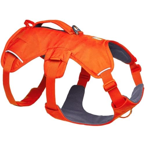 Ruffwear Web Master - Arnés para Perro, arnés Frontal en Y para Perro con asa y Hebilla Mejorada, Ajustable y Ligero para Paseos, antiescape, sin tirones, Transpirable y cómodo, Blaze Orange, S