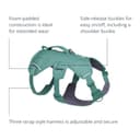Ruffwear Web Master Dog Harness, Y-Front Dog Harness with Handle & Improved Buckle, Adjustable & Lightweight for Walks & Hikes, Anti Escape, No Pull, Breathable & Comfy, River Rock Green, Medium - 5