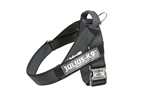 Julius-K9, IDC Color & Gray Belt Harness, Size: L / 1, Black-Gray