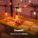 nanoleaf Matter Essentials, 15M Outdoor LED String Lights Expansion Pack (RGBICW) - Smart Multicolor Lights with 16M+ Colours, IP65 Waterproof, 20 addressable LED Bulbs, WiFi, Bluetooth & Matter - 5