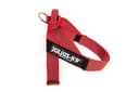 Julius-K9, IDC Color & Gray Belt Harness, Size: M / 0, Red-Gray - 1