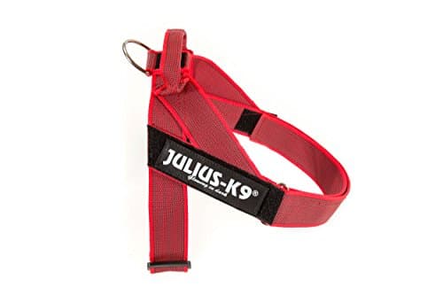 Julius-K9, IDC Color & Gray Belt Harness, Size: M / 0, Red-Gray